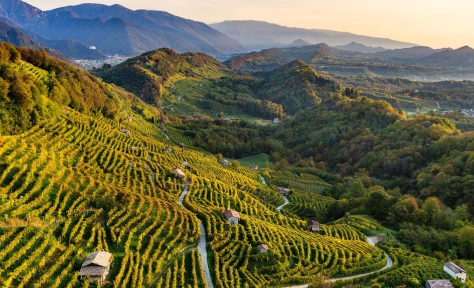 Valdo_conegliano_trivino_cz (1)